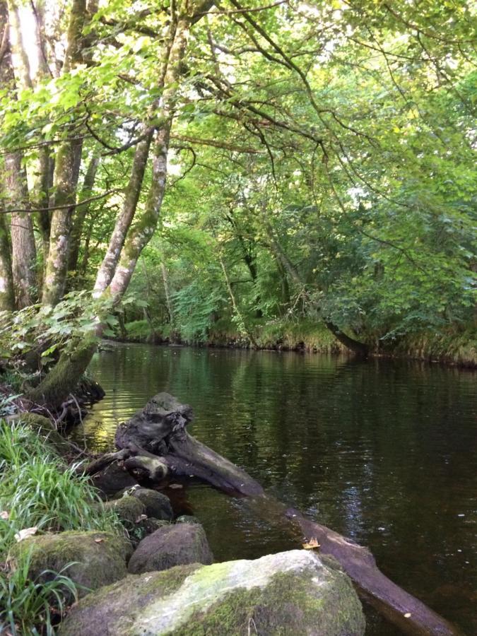 Riverside Apartment Betws-y-Coed Eksteriør bilde